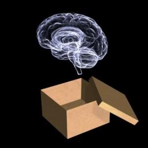http://zenfulness.com/wp-content/uploads/2008/09/think_outside_the_box_brain.jpg