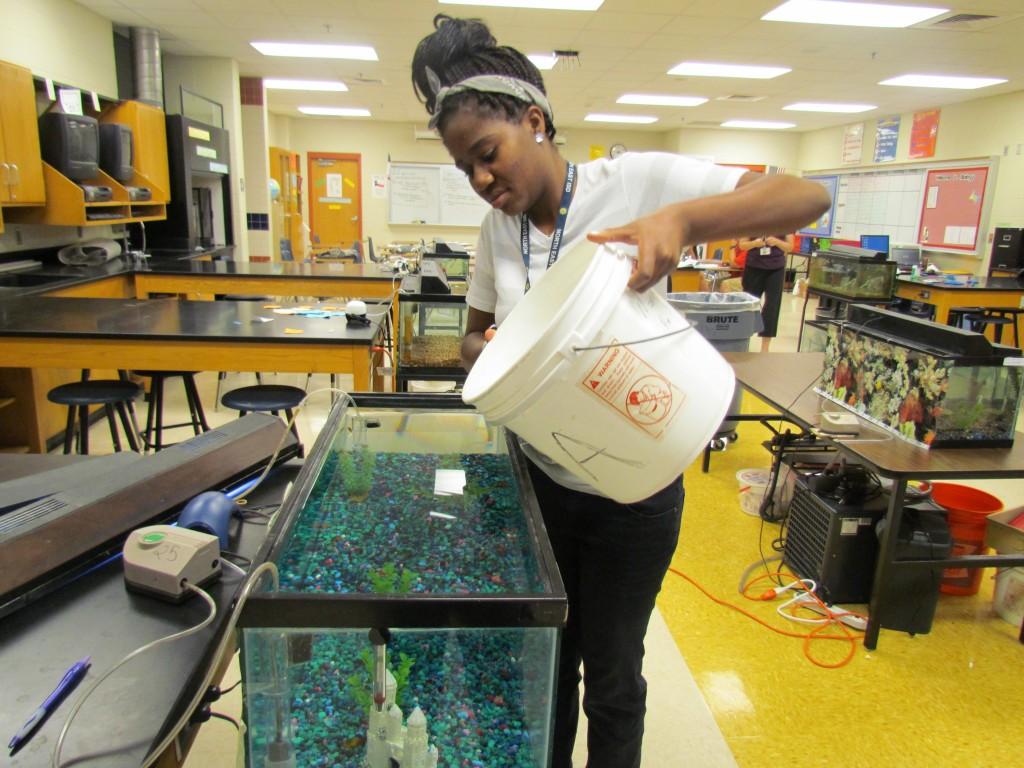 Aquatic Science Catches Some Fish
