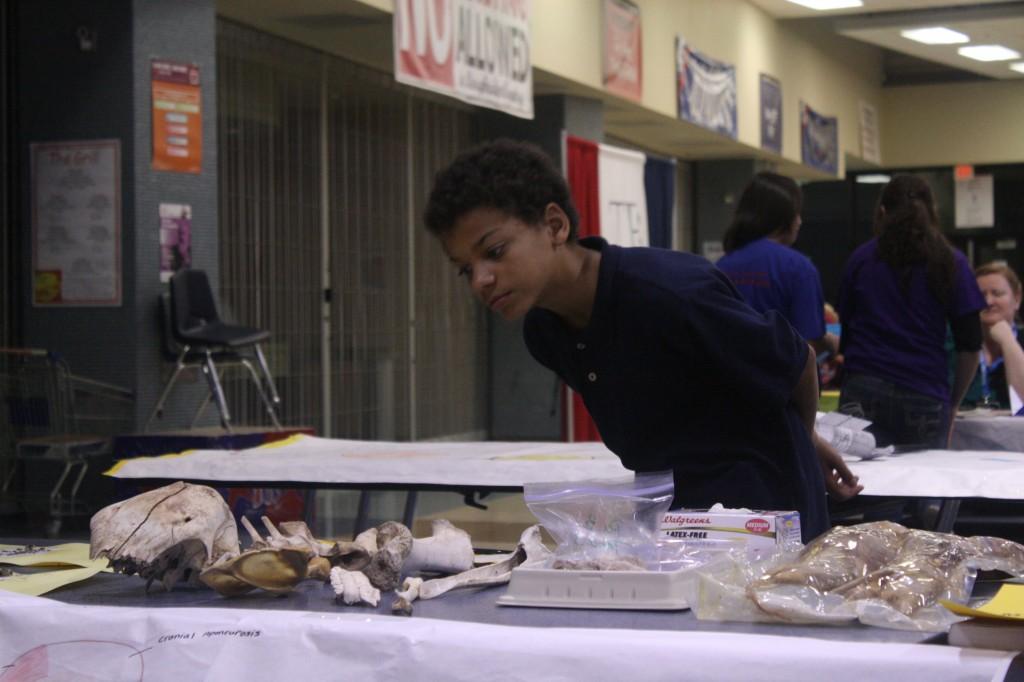 Course Fair: Were you Spotted?