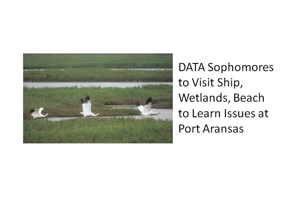 DATA Sophomores Learn Geology Links at Port A
