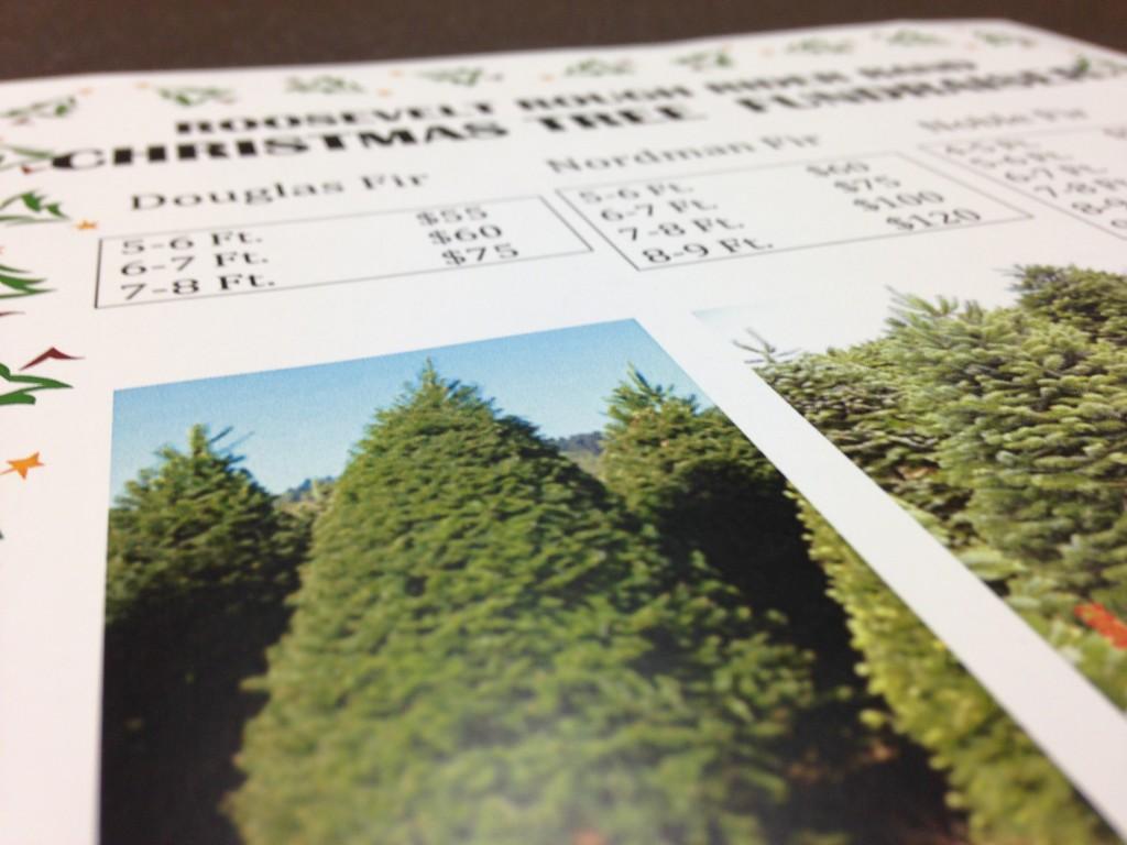 Band's unique Christmas tree fundraiser 