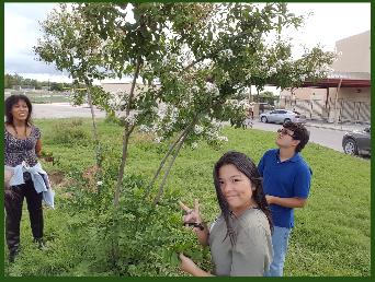 TR Community Garden Comes to Life
