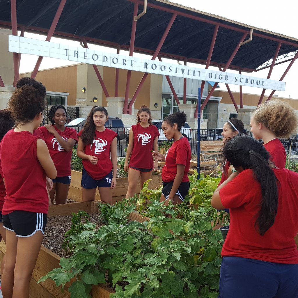 Volleyball experiences community garden
